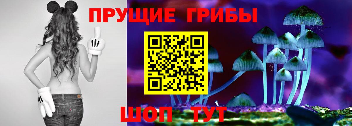 Псилоцибиновые грибы MAGIC MUSHROOMS Жуковский